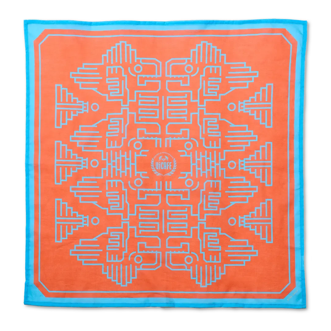 ViCAFE Foulard